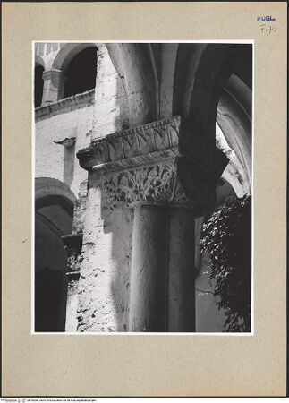 Vorderseite von bh182086_recto