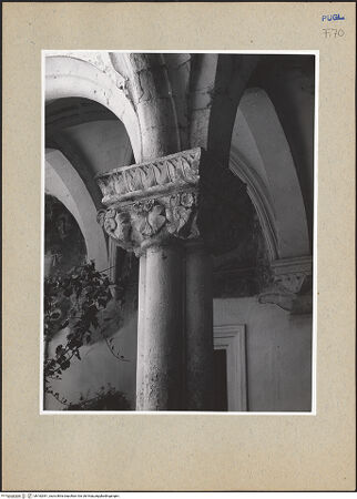 Vorderseite von bh182091_recto