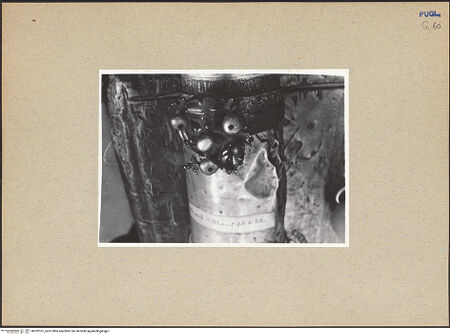 Vorderseite von ICCD [https://www.deutsche-digitale-bibliothek.de/content/lizenzen/rv-ez/] Reliquiar des Armes der heiligen Petronilla - Detail, bh182101_recto. Foto.