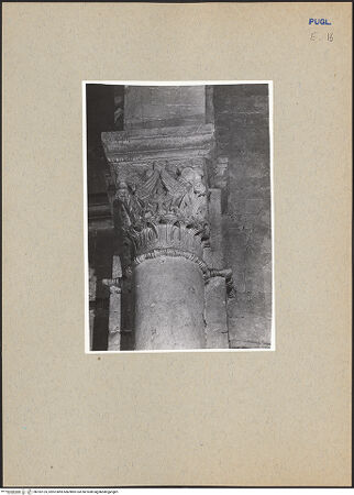 Vorderseite von bh182125_recto