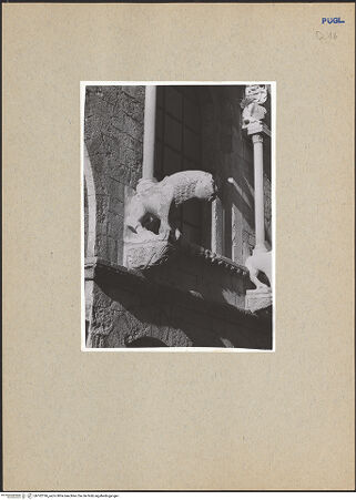 Vorderseite von bh182196_recto