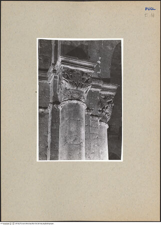 Vorderseite von bh182270_recto