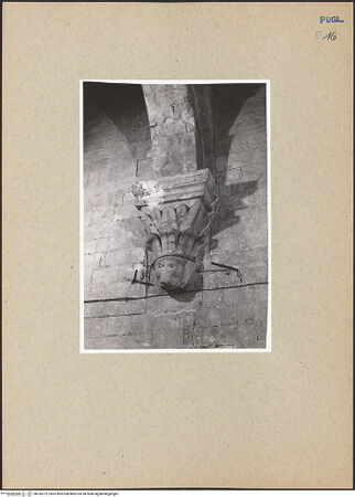 Vorderseite von bh182275_recto