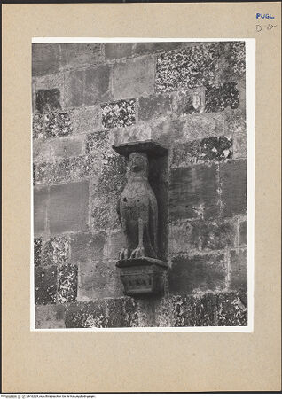 Vorderseite von ICCD [https://www.deutsche-digitale-bibliothek.de/content/lizenzen/rv-ez/] Adler - Gesamtansicht, bh182329_recto. Foto.