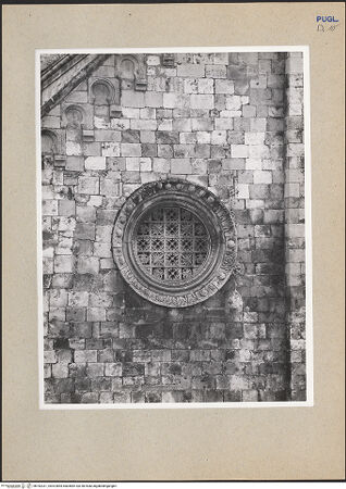 Vorderseite von ICCD [https://www.deutsche-digitale-bibliothek.de/content/lizenzen/rv-ez/] CattedraleWestfassade - Rundfenster über dem nördlichen Seitenportal, bh182331_recto. Foto.
