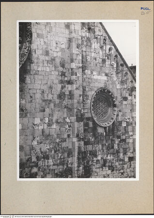 Vorderseite von ICCD [https://www.deutsche-digitale-bibliothek.de/content/lizenzen/rv-ez/] CattedraleWestfassade - Rundfenster über dem südlichen Seitenportal, bh182332_recto. Foto.