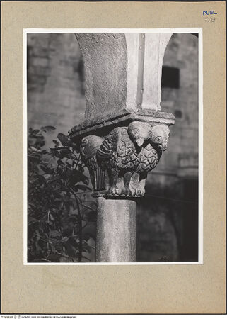 Vorderseite von bh182354_recto