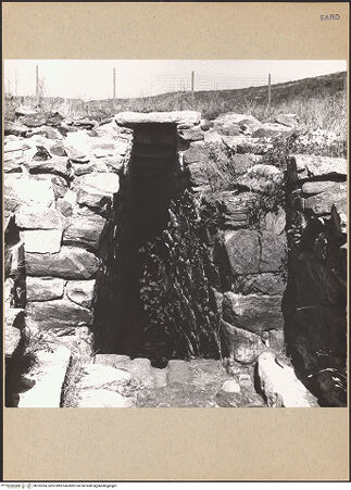 Vorderseite von bh182394_recto