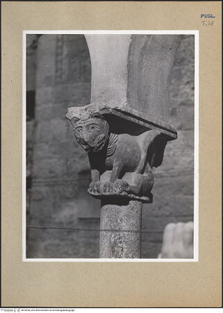 Vorderseite von bh182398_recto