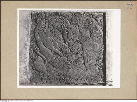 Vorderseite von bh182410_recto