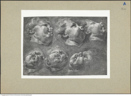 Vorderseite von bh182545_recto