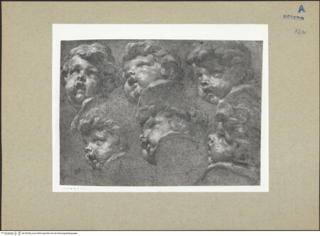 Vorderseite von bh182546_recto