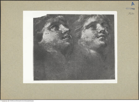 Vorderseite von bh182550_recto