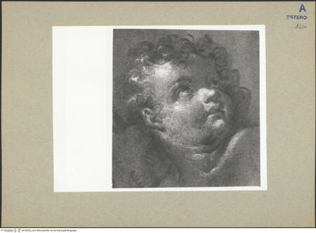 Vorderseite von bh182552_recto