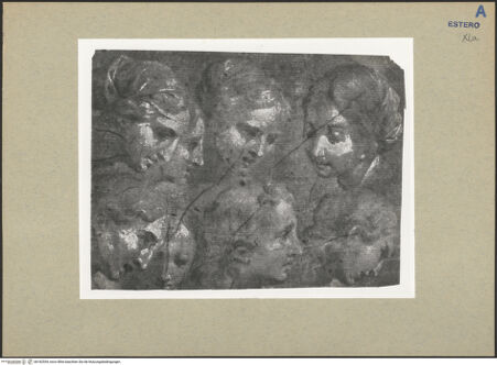 Vorderseite von bh182554_recto