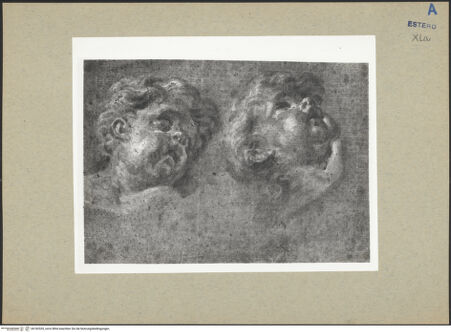 Vorderseite von bh182555_recto