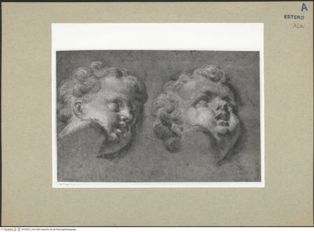 Vorderseite von bh182557_recto