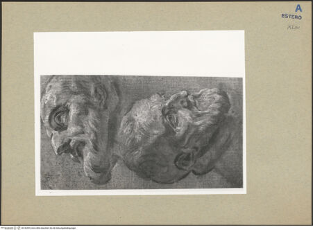 Vorderseite von bh182559_recto