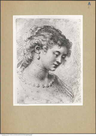 Vorderseite von bh182561_recto