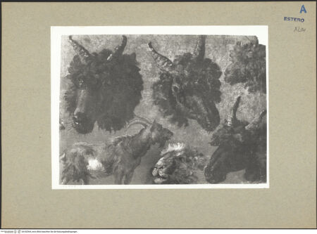 Vorderseite von bh182564_recto