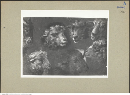 Vorderseite von bh182565_recto