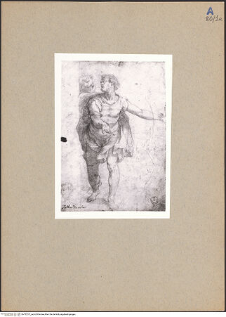 Vorderseite von bh182575_recto