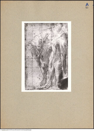 Vorderseite von bh182576_recto