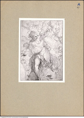 Vorderseite von bh182597_recto