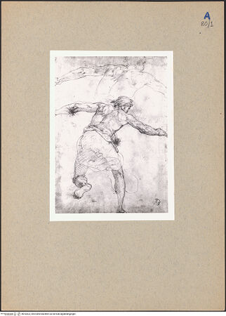 Vorderseite von bh182623_recto