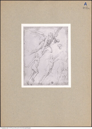 Vorderseite von bh182765_recto