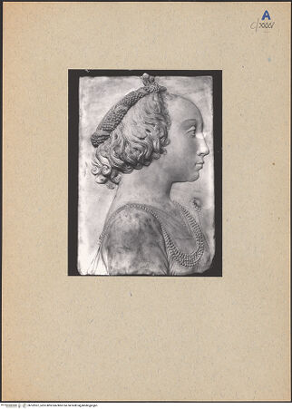 Vorderseite von bh182937_recto