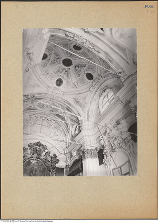 Vorderseite von bh183396_recto