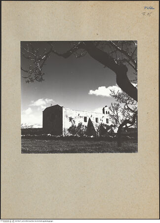 Vorderseite von bh183471_recto