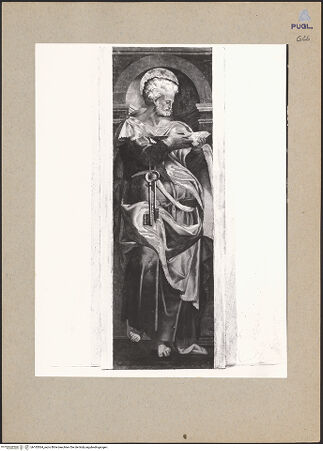 Vorderseite von bh183564_recto