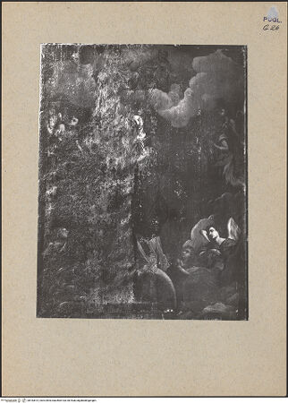 Vorderseite von bh183614_recto