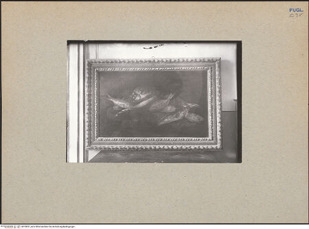 Vorderseite von bh183631_recto