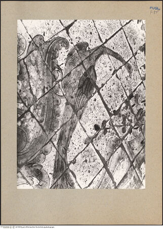 Vorderseite von bh183636_recto