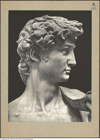 Vorderseite von bh183698_recto