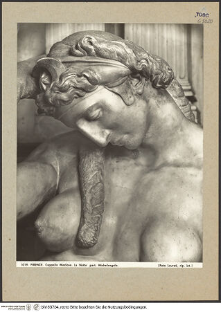 Vorderseite von bh183704_recto