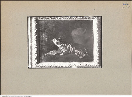 Vorderseite von bh183722_recto