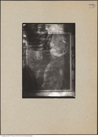 Vorderseite von bh183726_recto