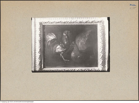 Vorderseite von bh183731_recto