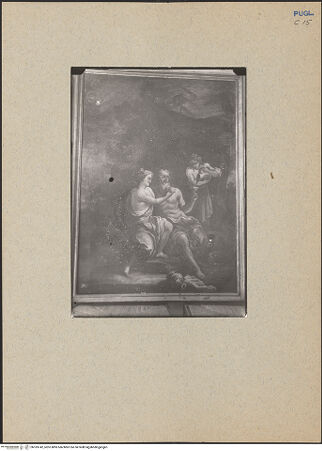 Vorderseite von bh183742_recto