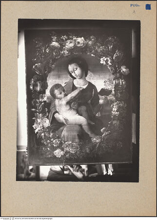 Vorderseite von bh183763_recto