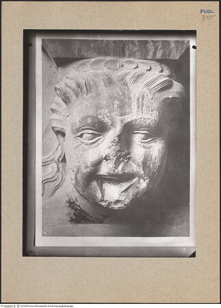 Vorderseite von bh183764_recto