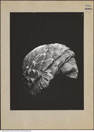 Vorderseite von bh183822_recto