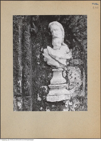 Vorderseite von bh183826_recto