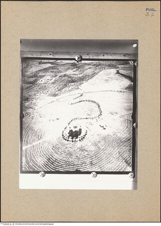 Vorderseite von bh184080_recto