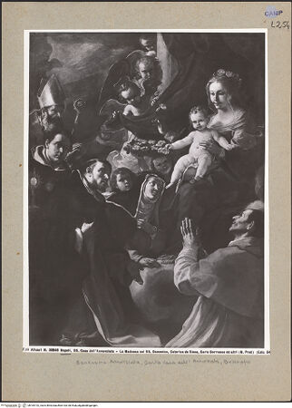 Vorderseite von Alinari [https://www.deutsche-digitale-bibliothek.de/content/lizenzen/rv-ez/] Madonna mit Heiligen (Januarius, Thomas von Aquin, Dominicus, Katharina von Siena und Karl Borromäus) - Gesamtansicht, bh184142_recto. Foto.
