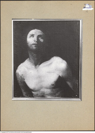 Vorderseite von bh184308_recto